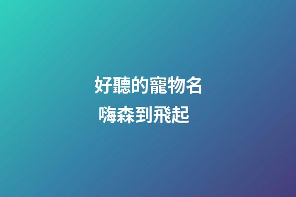 好聽的寵物名 嗨森到飛起